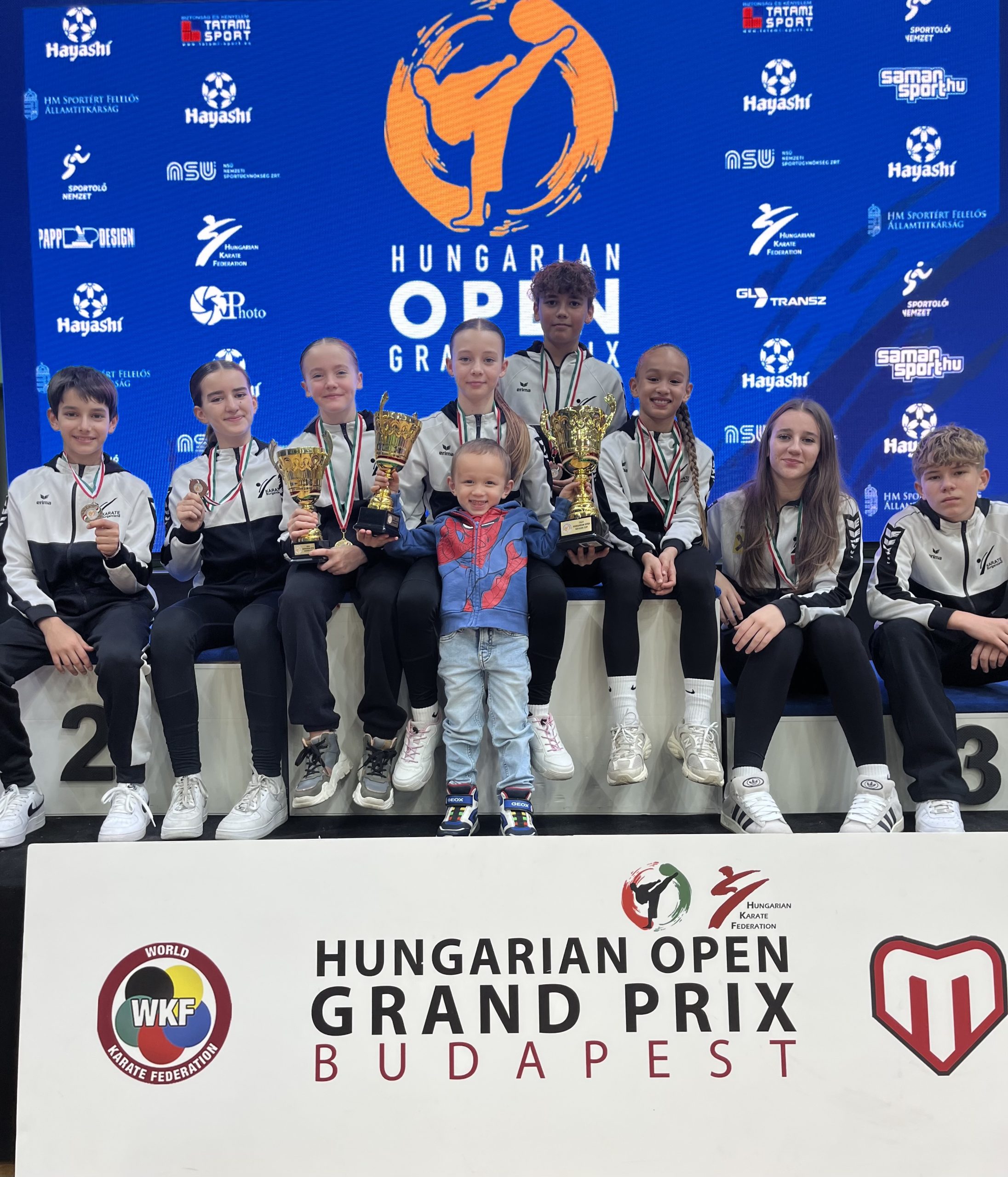 Hungarian Grand Prix in Budapest